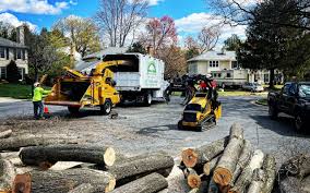 Best Firewood Processing and Delivery  in Dripping Springs, TX